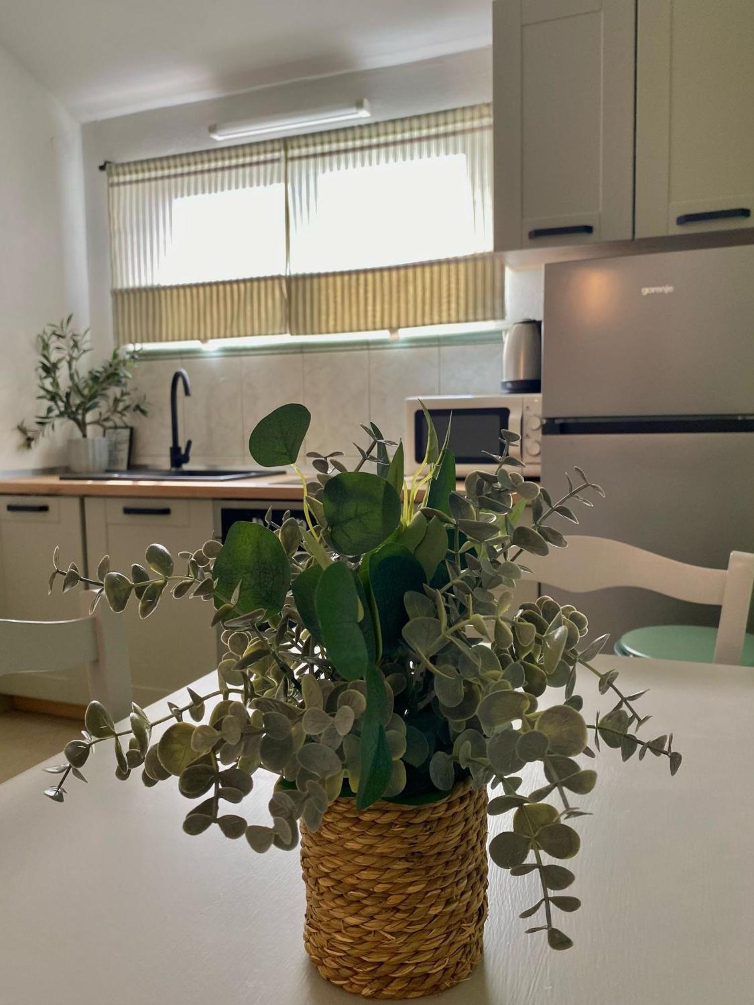 Apartments Maria Kukljica Ngoại thất bức ảnh